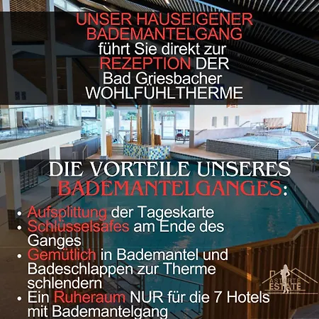 Apartment Fewo 20 - Appartement Im Rottalblick - Youngmodern Wohnen, Tiere Willkommen, Bademantelgang Zur Therme, Tv Und Balkon